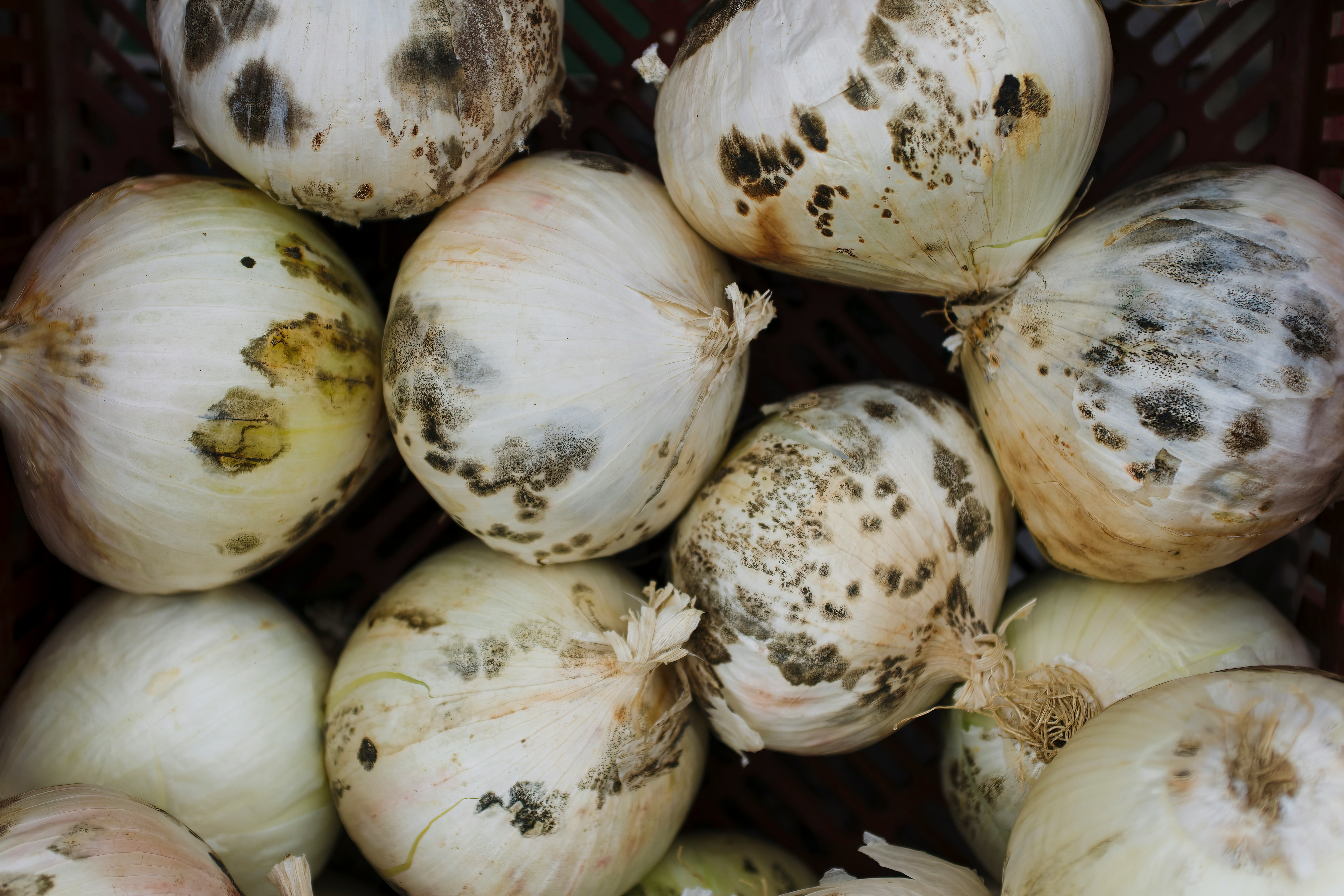 (Photo: Eric Prouzet / Unsplash)